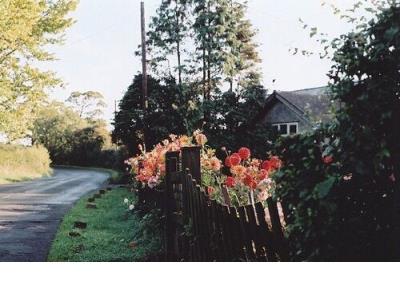 相恋一个人的心情短语 思念一个人的心情短语