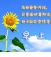 最适合发朋友圈的经典心情语录|整个世界可以是你,但你必须是我的