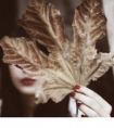 评论别人朋友圈的句子/人生是愚人的梦,充满喧哗与愤怒