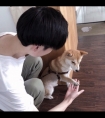 细鞭花蒂调教_硬挺 迎合 滑入 紧紧