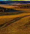 欲女爽的玉液横流 _激烈疯狂耸动h
