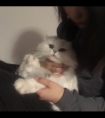宝贝 里面真舒服 不想出来了/上面开会下面在天小说