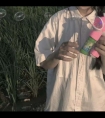 他的手伸进我衣服开始揉捏:扒开细鞭臀缝