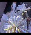 老熟女毛茸茸浓毛_泄 水 揉 花蕊 核 小嘴 吸