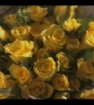 被学长带到洗手间_丰腴美妇旗袍成熟小说