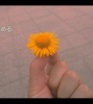 走绳结崩溃求饶/把校花绑在桌上调教