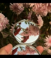 顶 硬 硕 花 嫩 嗯*学长不要摸我的小白兔