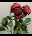高H受被做得合不拢腿/女尊调教夫高H