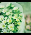脱体育老师的内裤看J*女生芭蕾起反应