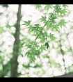 岳你夹得好紧好爽:岳的又大又紧水又多