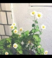 gl柔软喘息弹出要我_双性按摩花蒂攻吃受奶