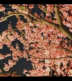 自慰高潮到失禁h:女女百合高H纯肉小说