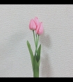 肥美的大屁股上下耸动/夹子夹奶头绳子绑奶