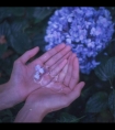 强开嫩苞又嫩又紧|含着丫鬟的奶头