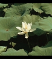 刺激H校花上课_宝贝不许穿内裤方便我做