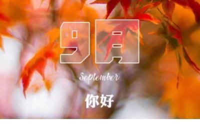 公交车广告宣传