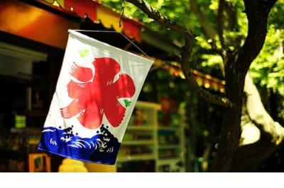 创新的名言最新