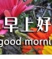有关风的拟人句短的_风一吹,树就发出一声大叫