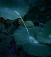 女子避雨和五个和尚/毛笔春药调教