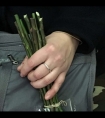 被两个男人按住吃奶: 挺进男人菊眼