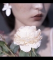 校花被老师脱下裙子|林娟和老王全文阅读