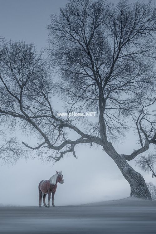 白洁孙倩_给心灵装个取景器