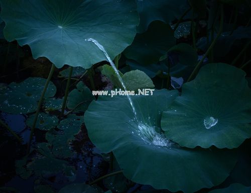 不出来 放在里面睡觉_一张纸能做什么