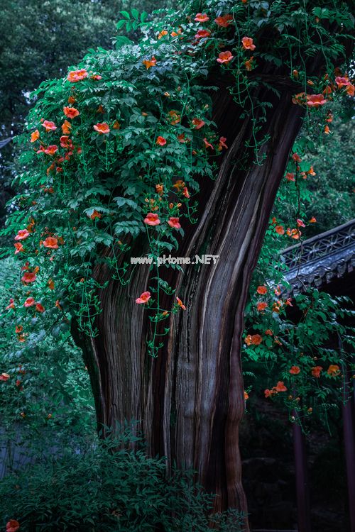 别急妈又不是不让你弄_法国没有的法国菜