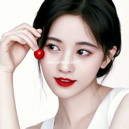 幻想乡乐园计划_服务到极致不得不赚钱