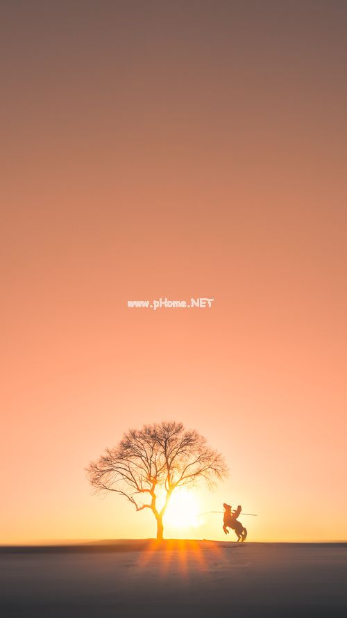 柳菲儿_喊出来的饮料