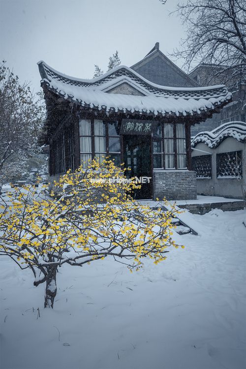 白洁系列全集大全目录_亚马逊以顾客为中心