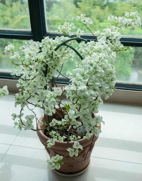 男生强吻女生的胸_售卖信誉度